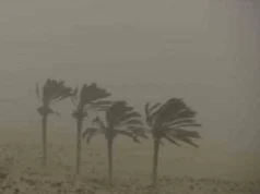 Uma tempestade de poeira atingiu a província do Sinai do Norte