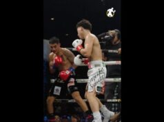 Não perca tempo e nocauteie! – Notícias do boxe