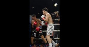 Não perca tempo e nocauteie! – Notícias do boxe