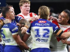 Os Dragões de St George Illawarra estão mostrando que estão prontos para a luta, se não para a primeira divisão