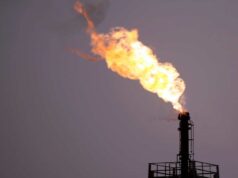 O meio ambiente é outra vítima da guerra no Oriente Médio