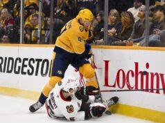 Wild adquiriu F Michael McCarron dos Predators.