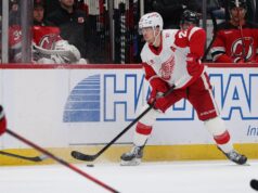 Lambendo cada um dos relâmpagos, penas vermelhas no confronto.