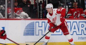 Lambendo cada um dos relâmpagos, penas vermelhas no confronto.