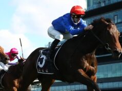 A égua vai ficar boa nesta corrida depois de muito tempo: treinador