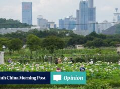 opinião Para permanecer competitivo, Hong Kong deve adotar soluções baseadas na natureza.