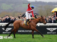 Um terceiro cavalo morreu em Cheltenham após a corrida da Gold Cup.