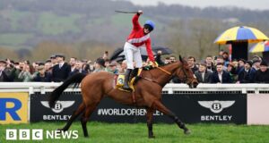 Um terceiro cavalo morreu em Cheltenham após a corrida da Gold Cup.