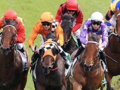 Opiniões e recomendações segregadas por raça de Grafton quinta-feira