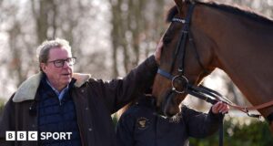 Festival de Cheltenham 2026: Jukebox Man de Harry Redknapp corre em um campo de 14 jogadores da Copa Ouro