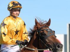 Vitória dupla no Hipódromo Percy Spencer para o treinador de Albany, Roy Rogers, e a melhor jóquei da cidade, Lucy Feuer