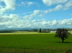 O clima de março chega como cordeiros.