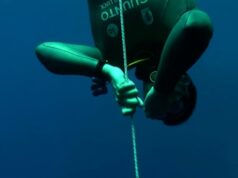 Ant Williams, uma bibliotecária mundial, fala sobre o que o motiva