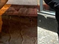 Polícia de Dubai prende gangue asiática de 13 pessoas que praticavam mendicância