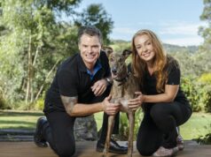 Miss Envy, duas vezes galgo do ano WA, deve chegar à Perth Cup