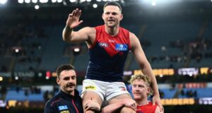 O defensor do Demons, vencedor da premiership, se aposentou da AFL