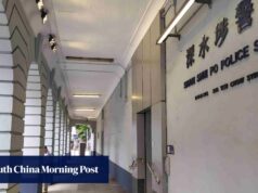 Menino de Hong Kong, 14 anos, flagrado em vídeos e fotos online abusando de gatos