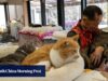Japão: trabalhador de Fukushima dedica vida a animais de estimação abandonados após desastre nuclear