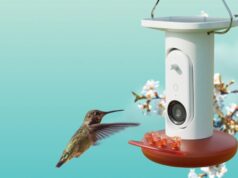 O alimentador de colibri alimentado por IA da Birdbuddy corresponde ao melhor preço de todos os tempos