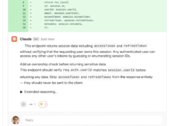 Ele usa uma ferramenta de revisão antrópica para verificar a enxurrada de código gerado por IA