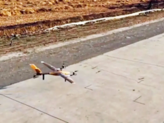 Bambu cresce na China