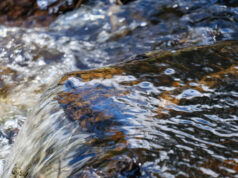 A rede de água rompe no nordeste de Portland. causando inundações nas estradas e desvio de tráfego