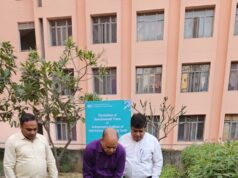 IIIT-Delhi fortalece compromisso ambiental com campanha de plantação de sândalo – APN News