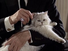 Stanley Stinter sobre remapear a história através do filme