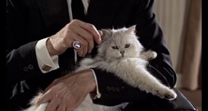 Stanley Stinter sobre remapear a história através do filme