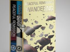 Artista de A Scavenger’s Reign explora ficção científica contemplativa em novos quadrinhos