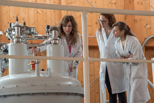 A Universidade de Florença confirma mais de 1,3 milhões de euros para projetos europeus de pós-doutoramento