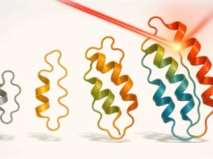 A evolução guiada pela luz cria proteínas que podem mudar, detectar e calcular