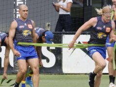 O técnico da Costa Oeste, Andrew McQuatler, está enfrentando uma grande derrota na pré-temporada enquanto aguarda reforços