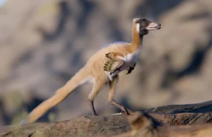 Este dinossauro de 2 quilos está reescrevendo o que os cientistas sabem sobre a evolução