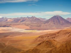 Surpresa do Atacama: o deserto mais seco do mundo está repleto de vida escondida
