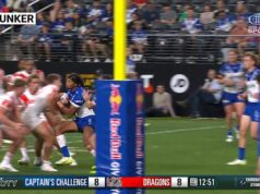 Os cães tiveram sorte no desafio do capitão