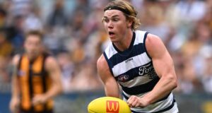 ‘Crueldade’: Gata volta para casa após caso de estupro