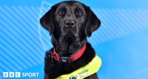 Paraolimpíadas de Inverno: Membro da Equipe de Cães-Guia da Grã-Bretanha