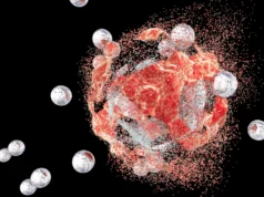 Cientistas descobriram uma molécula que impede o câncer de mama agressivo