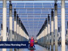 China preparada para obter enormes lucros com a transição energética global: analista