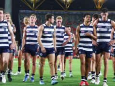 Gatos ficam calmos com Bronn trazendo algo para comemorar