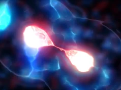 Os cientistas finalmente resolveram o mistério dos minúsculos centrômeros da levedura
