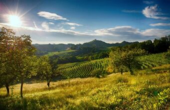 O segredo mais bem guardado da Itália: descobrindo Monferrato no Piemonte