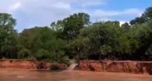 Vídeo chocante: A inundação do rio Salado causou deslizamentos de terra e quedas de árvores em Al Bardi.