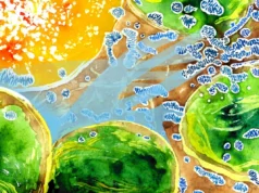 Cientistas descobriram um cabo de guerra de oxigênio dentro das células vegetais