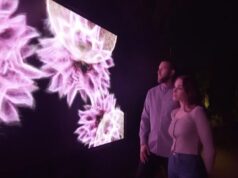 Arte e dados se unem no deserto de Sonora, no Arizona