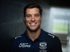 Como uma multa de US$ 10 (com juros) pode levar os gatos à bandeira