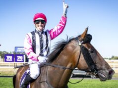 Os dois novilhos sensacionais de Clint Johnston-Porter aparecem em Bunbury no programa Standard de sábado