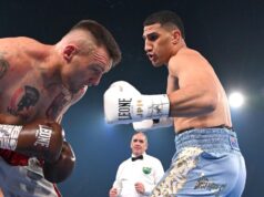 Honey adicionada à carta de Fúria empilhada para retornar ao ringue