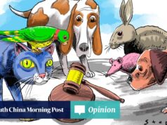 opinião A revolução silenciosa da China nos direitos dos animais